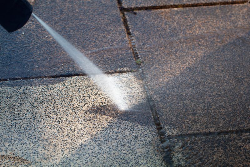 Paver Cleaning