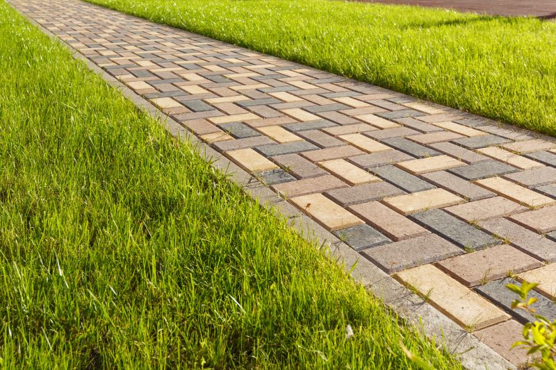 Clean and Maintained Pavers